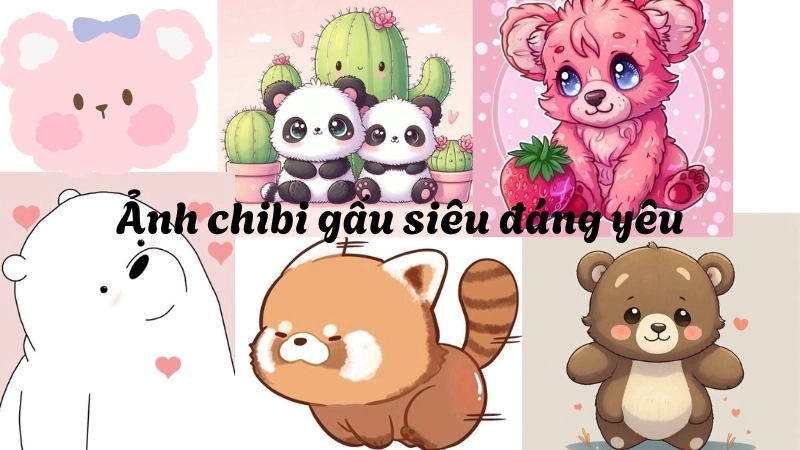 Hình ảnh chibi gấu là gì?
