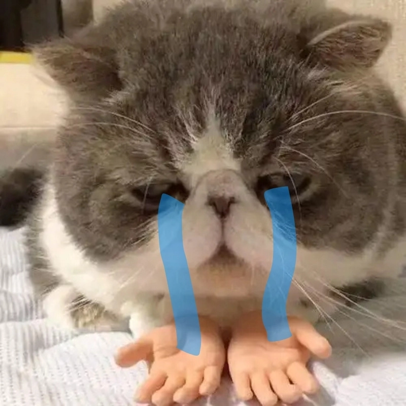 Tìm ngay con mèo meme khóc khi bạn buồn