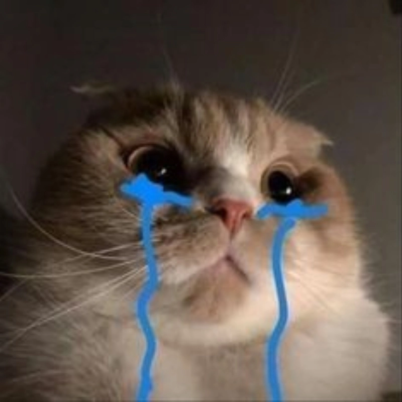 Tâm trạng tụt dốc khóc meme mèo mệt mỏi