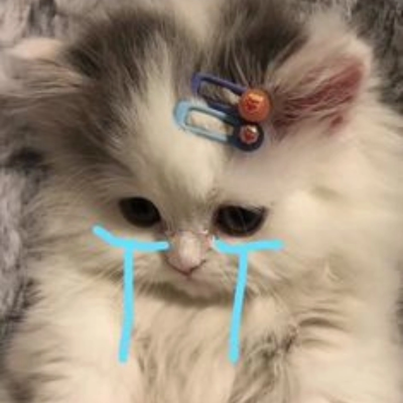 Một chiếc khóc meme mèo mang đầy tâm sự