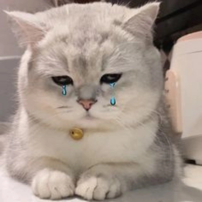 Khi bạn khóc cute nhưng không ai quan tâm