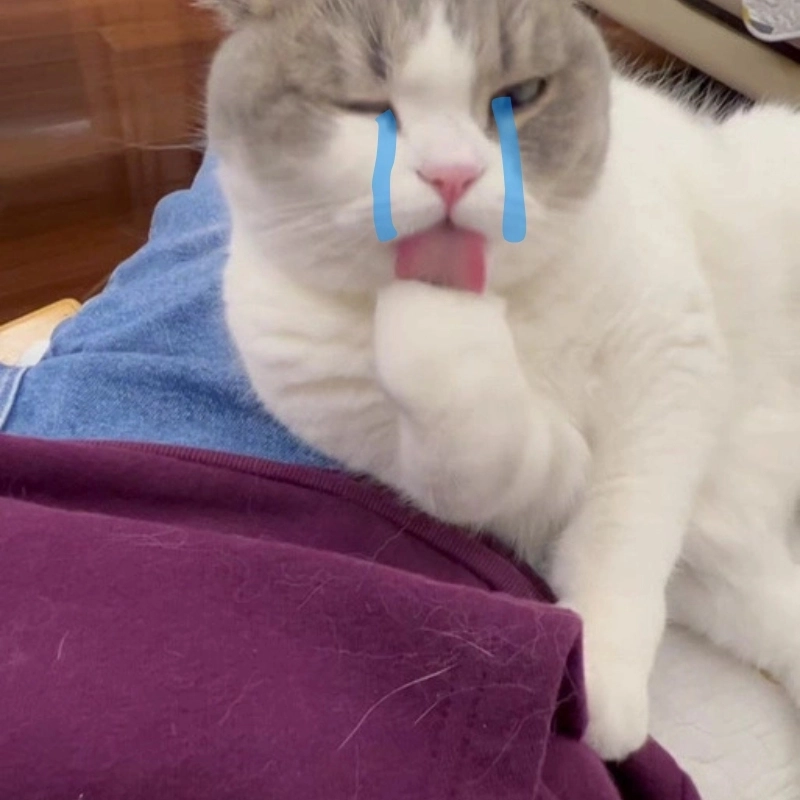 Một hình ảnh khóc cute đầy cảm xúc
