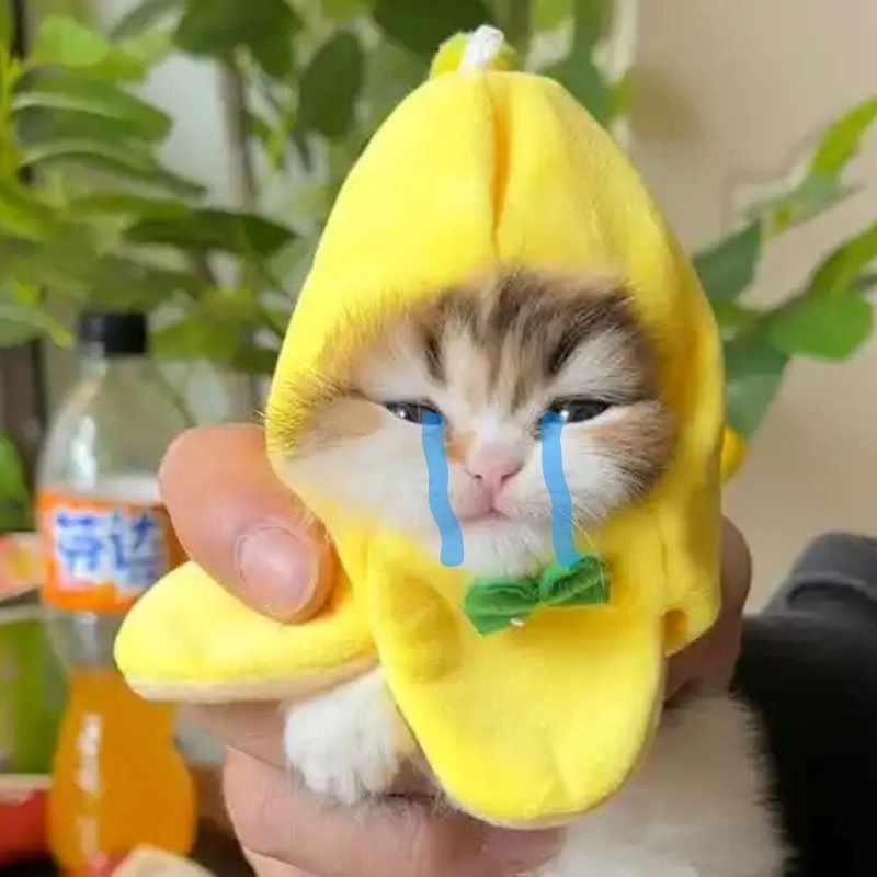Mèo chuối khóc meme mà ai cũng yêu thích