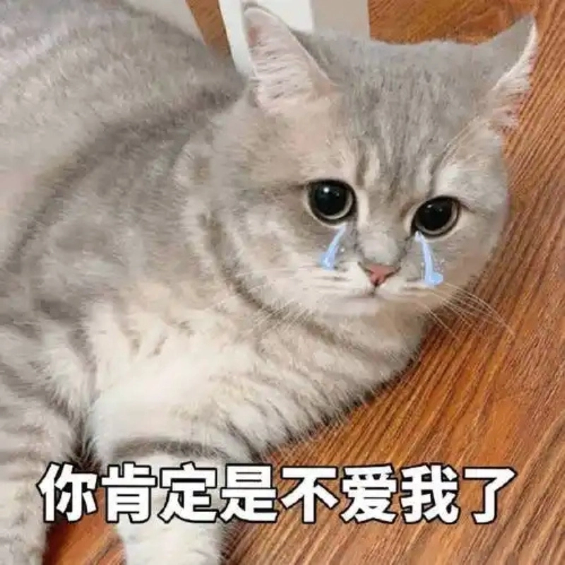 Khi cuộc đời trêu đùa bạn meo khoc meme mèo bựa
