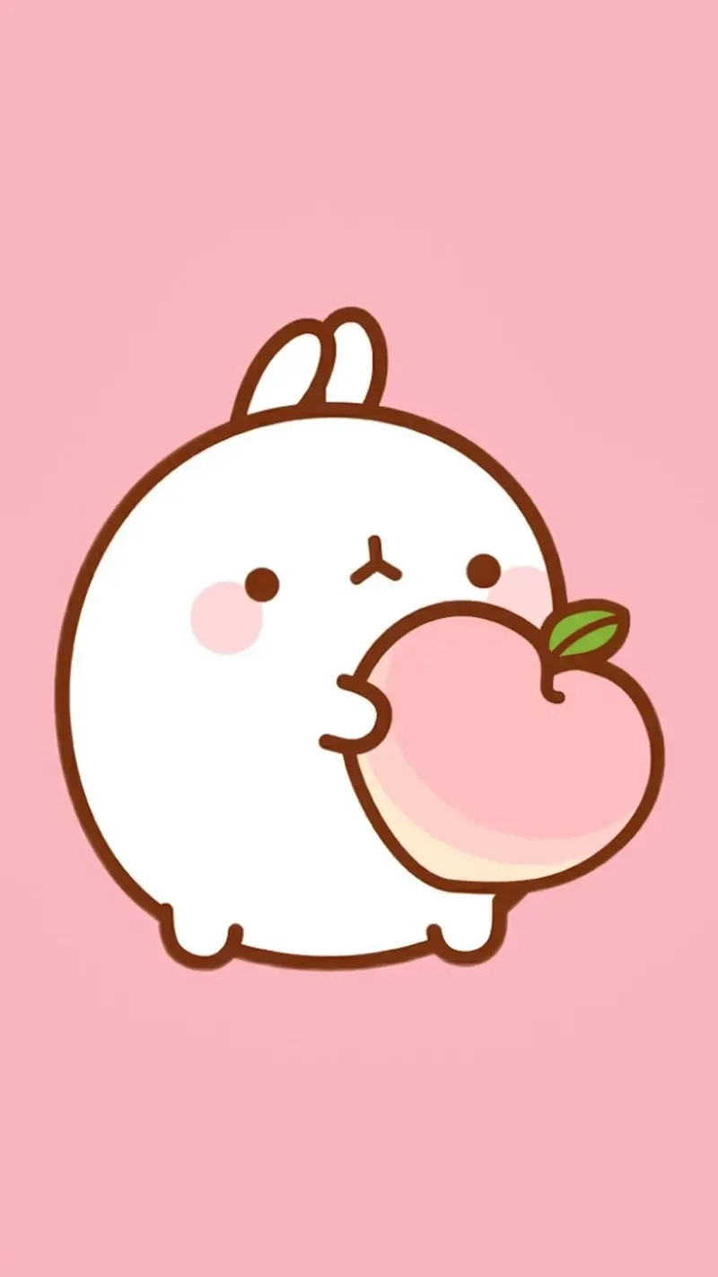 Khám phá hình gấu thỏ cute hình chibi siêu yêu