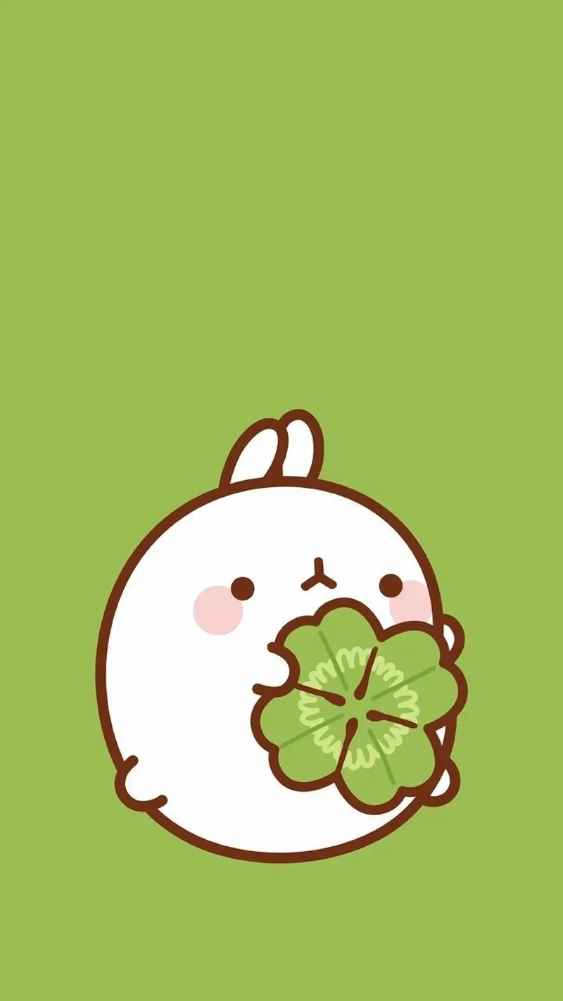 Kết hợp độc đáo hello kitty thỏ cute hình chibi