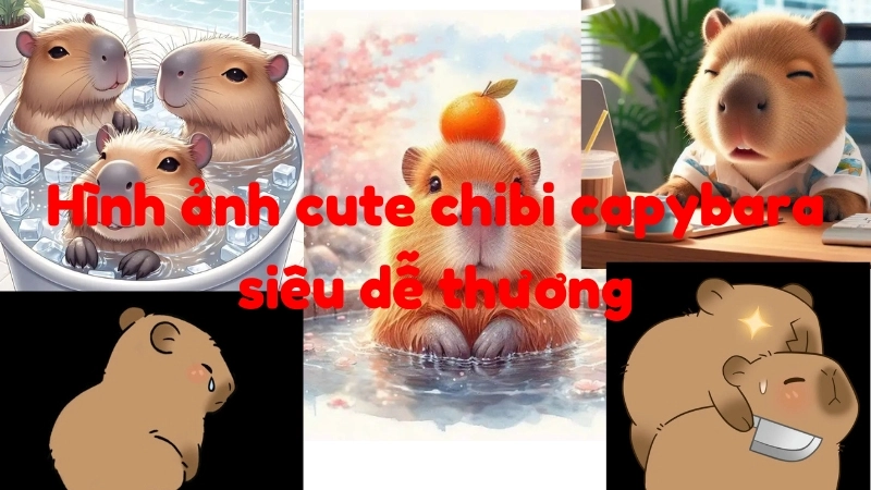 Hình ảnh cute chibi capybara là gì?