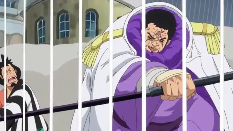Fujitora – Đấu sĩ mạnh mẽ trong One Piece