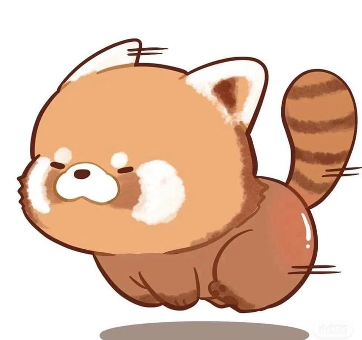 Thư viện gấu mèo chibi đa dạng mẫu siêu đáng yêu và nổi bật