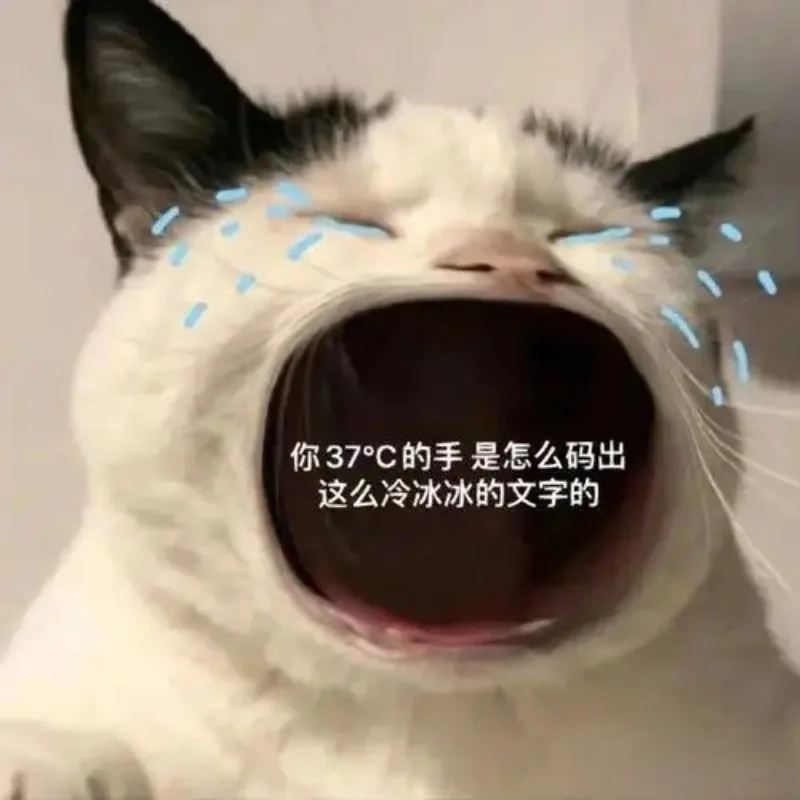 Đổi ngay avatar há mồm ảnh chế meme mèo bựa siêu độc lạ