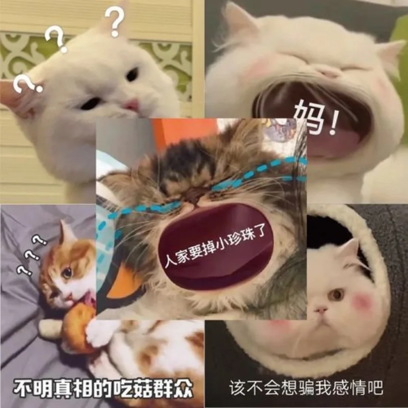 Những cười ảnh chế meme mèo bựa đang được lan truyền mạnh