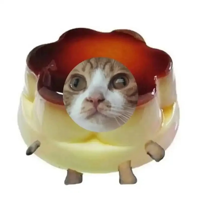 Không thể nhịn cười với hài hước ảnh chế meme mèo bựa