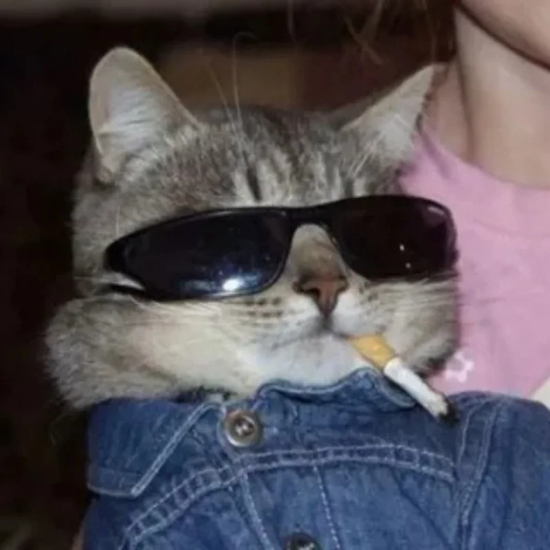 Cười thả ga với cute ảnh chế meme mèo bựa đang gây sốt