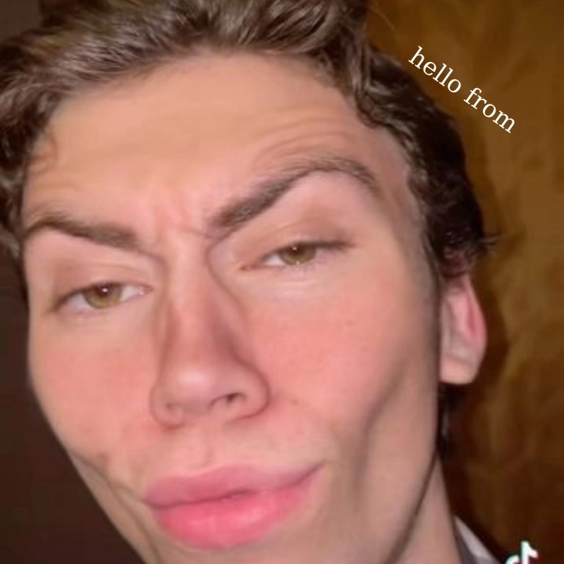 Khi bạn hát theo Adele với Hello from meme