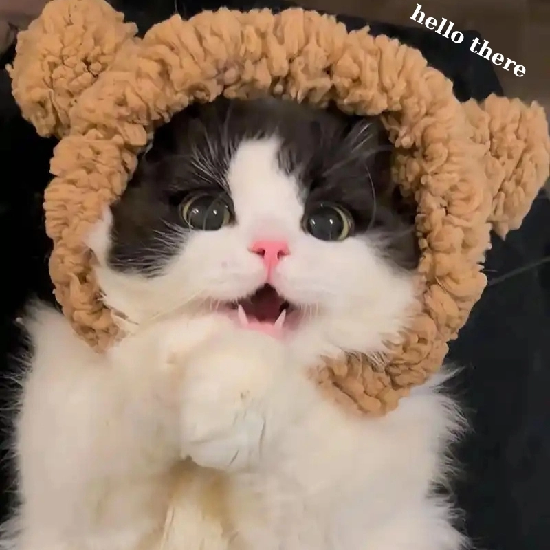 Nhìn là thấy ngay Hello there meme Chuẩn mực meme kinh điển