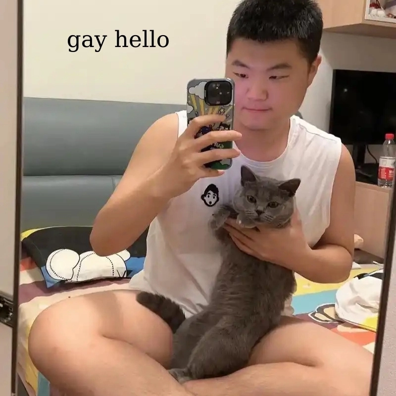 Gay hello meme Khiến ai cũng bất ngờ vì quá độc lạ