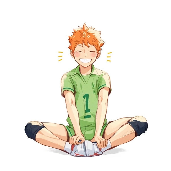 Hinata Shoyo Fanfiction những câu chuyện sáng tạo của fan dành cho cậu