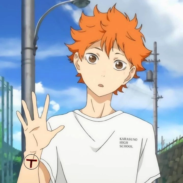 Hinata Shoyo Anime khi tinh thần không từ bỏ làm nên kỳ tích