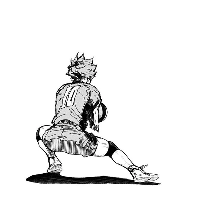 Hinata Shoyo Manga quạ nhỏ đầy nhiệt huyết trên từng trang truyện