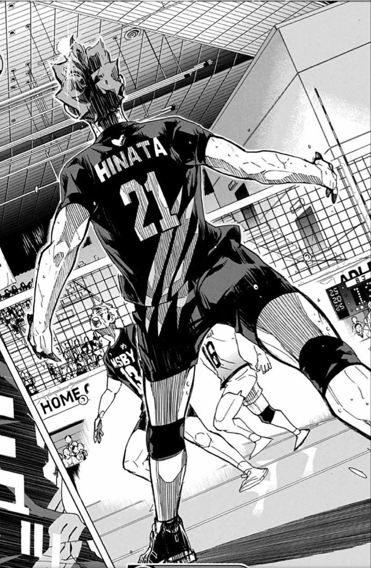 Shoyo Hinata MSBY từ Karasuno đến đấu trường chuyên nghiệp Nhật Bản