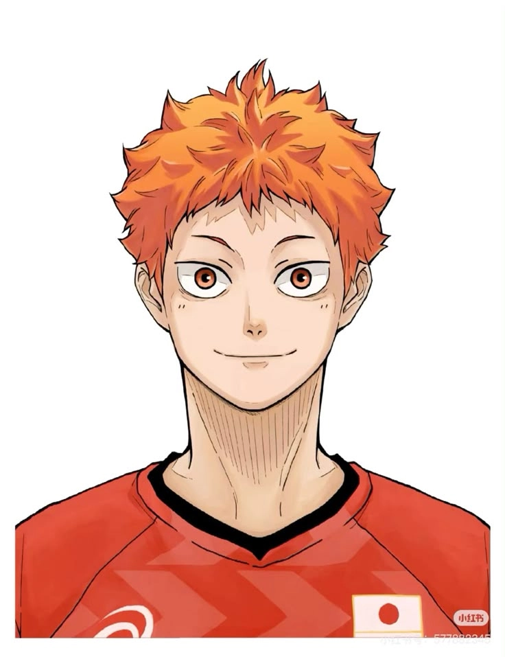 Hinata Shouyou Timeskip từ Karasuno đến con đường bóng chuyền chuyên nghiệp