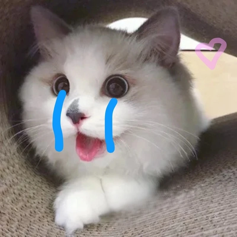 Đừng bỏ lỡ hình ảnh khóc cute này, thật đáng yêu hình ảnh khóc cute