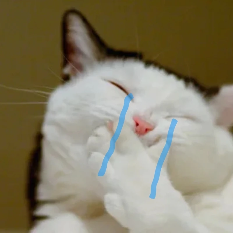 Đừng bỏ qua che miệng meme mèo khóc cute này, thật thú vị che miệng meme mèo khóc cute