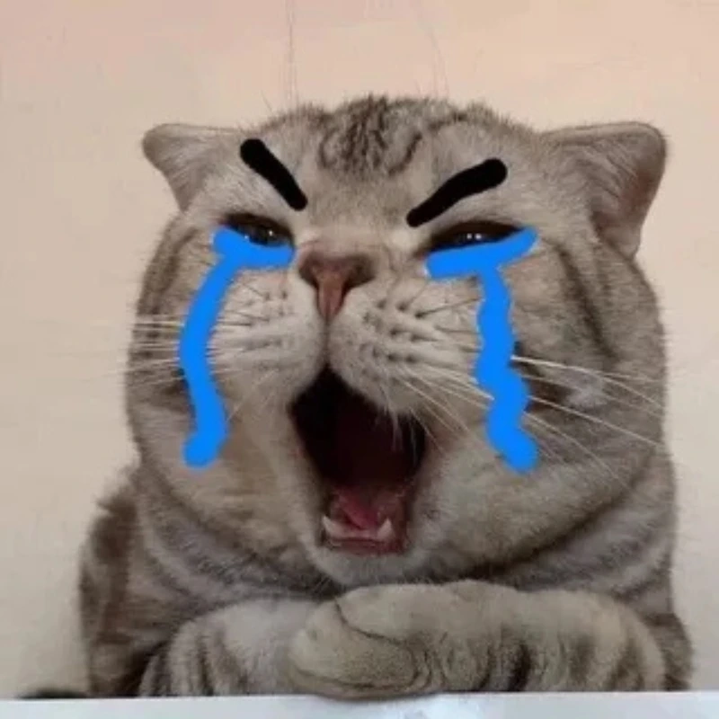 Meme mèo khóc cute này thật dễ thương và ngọt ngào meme mèo khóc cute