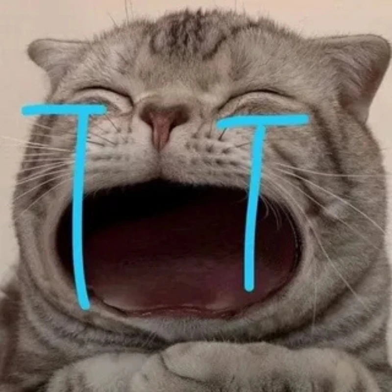 Xem ngay meme mèo cute khóc để cảm nhận nỗi buồn dễ thương meme mèo cute khóc