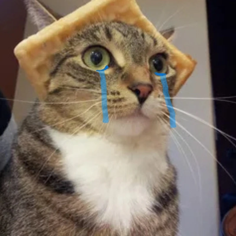 Cảm động với khóc meme mèo cute, rất dễ thương khóc meme mèo cute