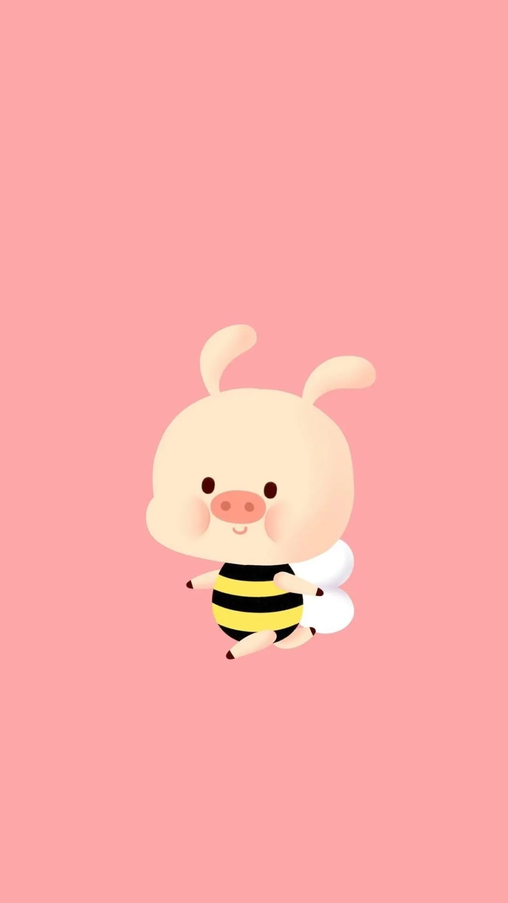 Không thể bỏ lỡ hình ảnh lợn cute siêu đáng yêu