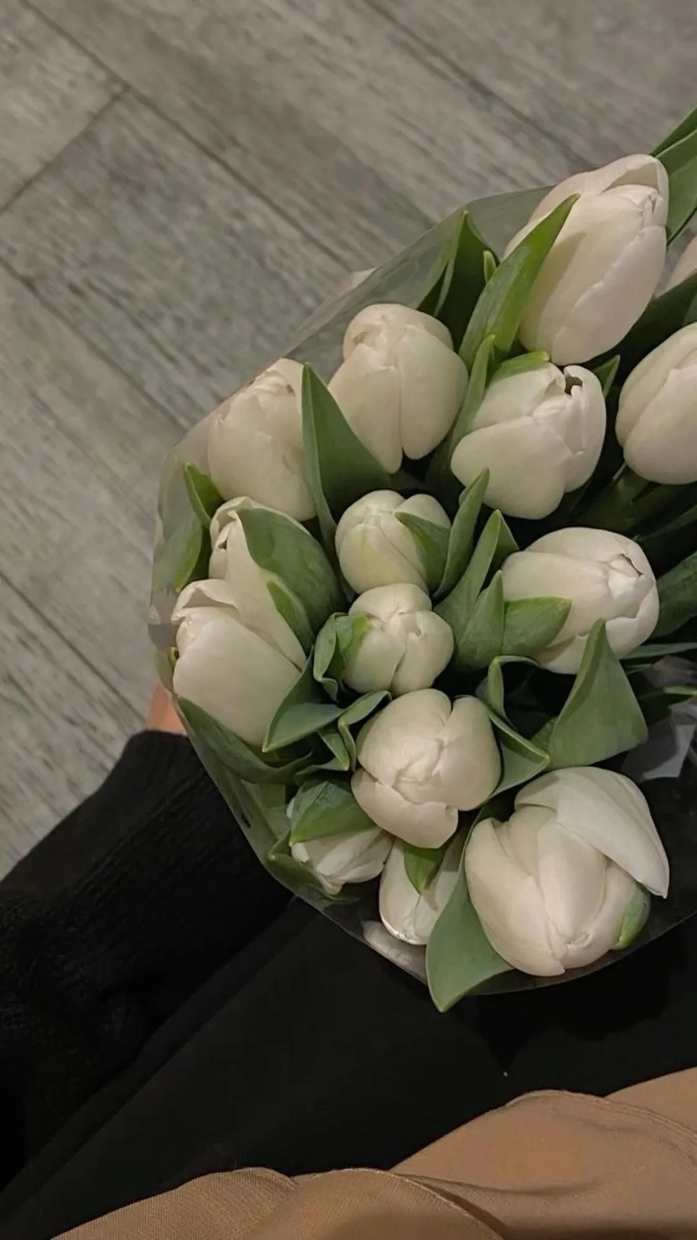Rực rỡ sắc màu với hình nền hoa tulip cho điện thoại lung linh