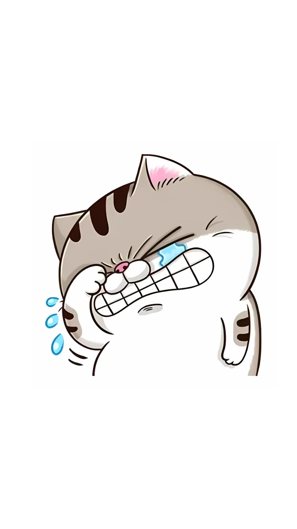 Dễ thương hơn bao giờ hết với hình nền mèo béo cute