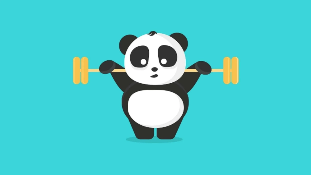 Chiêm ngưỡng bộ sưu tập hình nền gấu cute siêu dễ thương