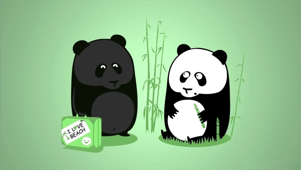 Tận hưởng vẻ đáng yêu của hình nền con gấu cực xinh