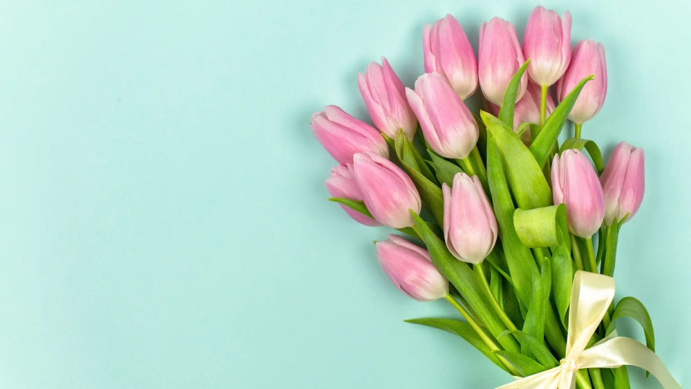 Chiêm ngưỡng vẻ đẹp đáng yêu của hình nền hoa tulip xinh đầy sức sống