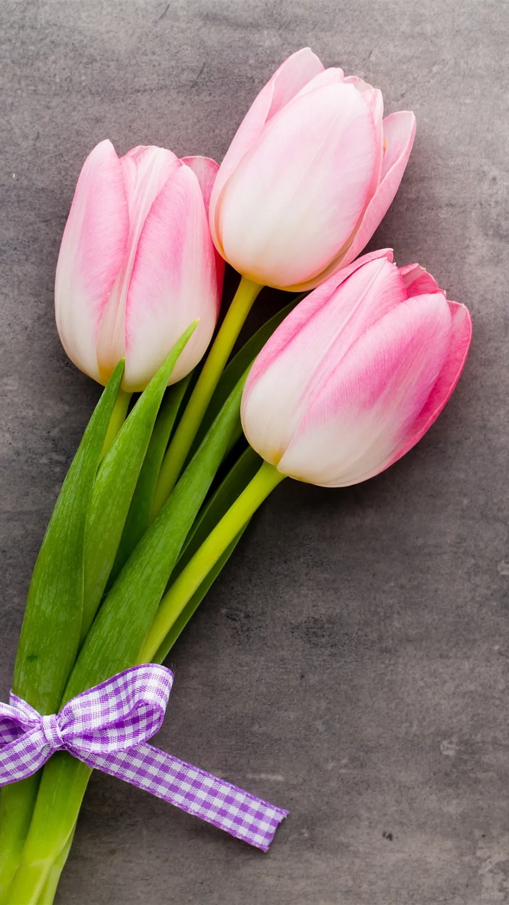Độ nét 4K siêu đỉnh với hình nền hoa tulip 4k