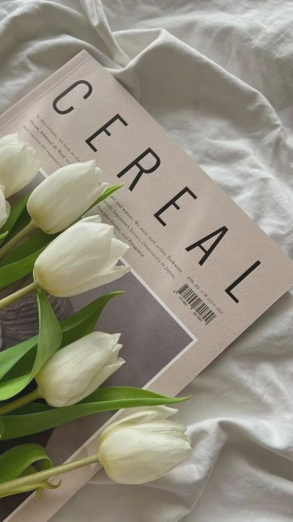 Sự tối giản đầy tinh tế từ hình nền hoa tulip đơn giản