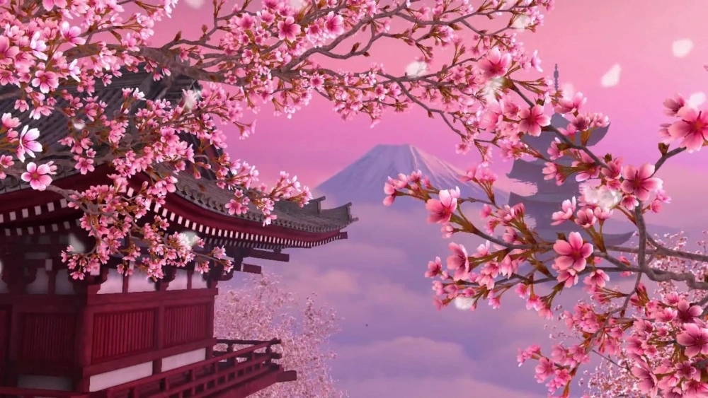 Bộ sưu tập hình nền máy tính hoa anh đào anime chất lượng cao