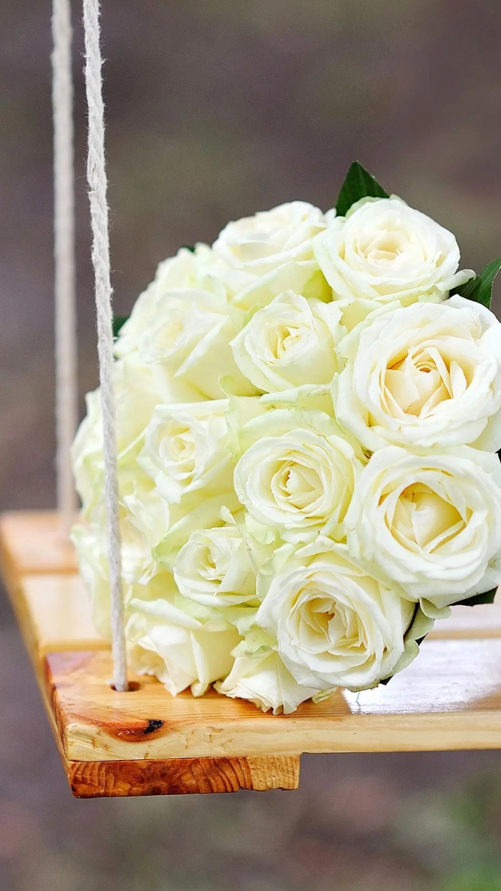 Chọn ngay hình nền hoa hồng đẹp nhất thế giới để tô điểm thiết bị của bạn