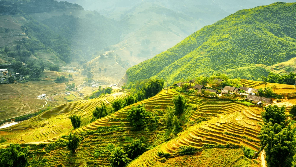 Đắm chìm trong thiên nhiên với hình nền máy tính phong cảnh Việt Nam tuyệt đẹp