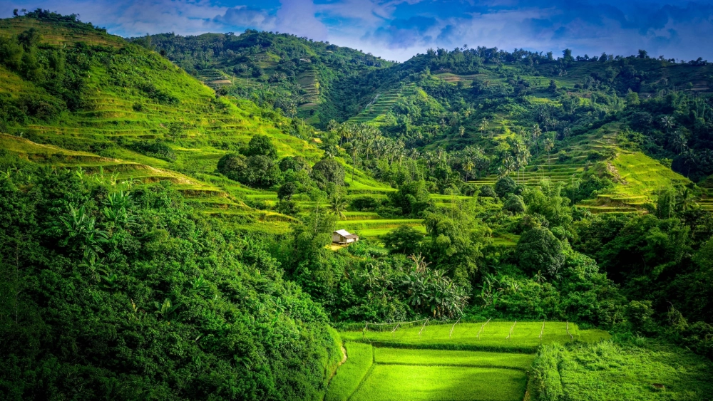 Tận hưởng thiên nhiên với hình nền phong cảnh đẹp nhất cho màn hình
