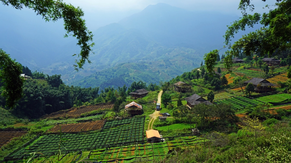 Trải nghiệm thiên nhiên với hình nền phong cảnh Việt Nam tuyệt đẹp