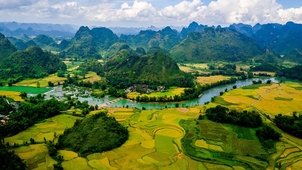 Hoài niệm về làng quê với hình nền phong cảnh đồng quê yên bình
