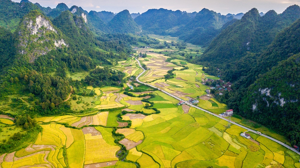 Đắm chìm trong vẻ đẹp quê hương với hình nền phong cảnh thiên nhiên đẹp nhất việt nam