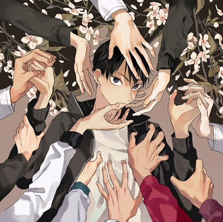 All x Kageyama khi hoàng tử chuyền hai trở thành tâm điểm