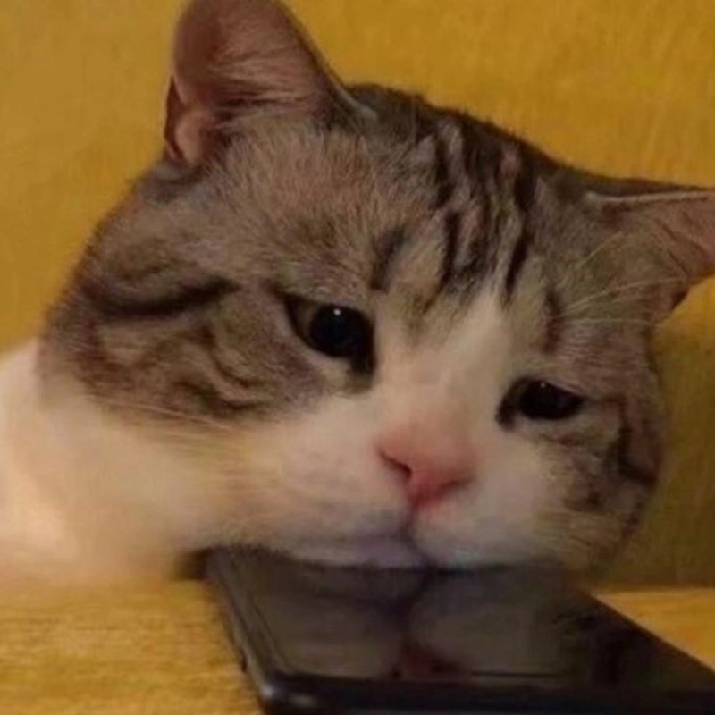 Cảm xúc chùng xuống với không thấy vui trong lòng meme