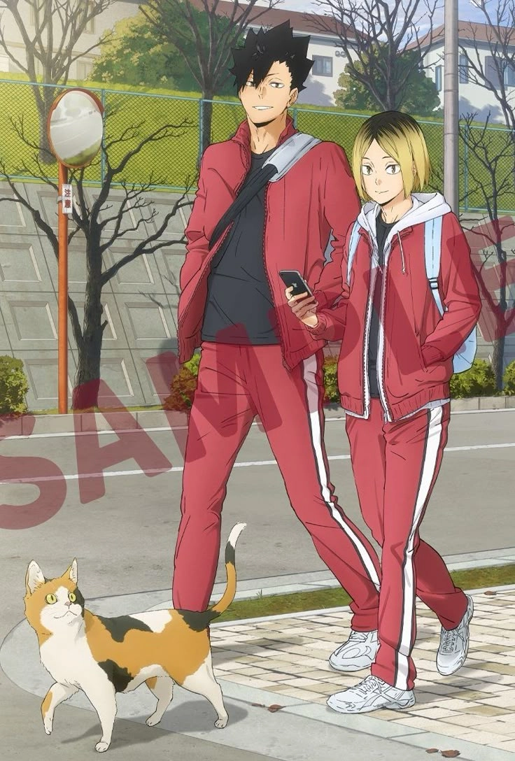 Kuroo And Kenma hai mảnh ghép đối lập nhưng lại vô cùng ăn ý