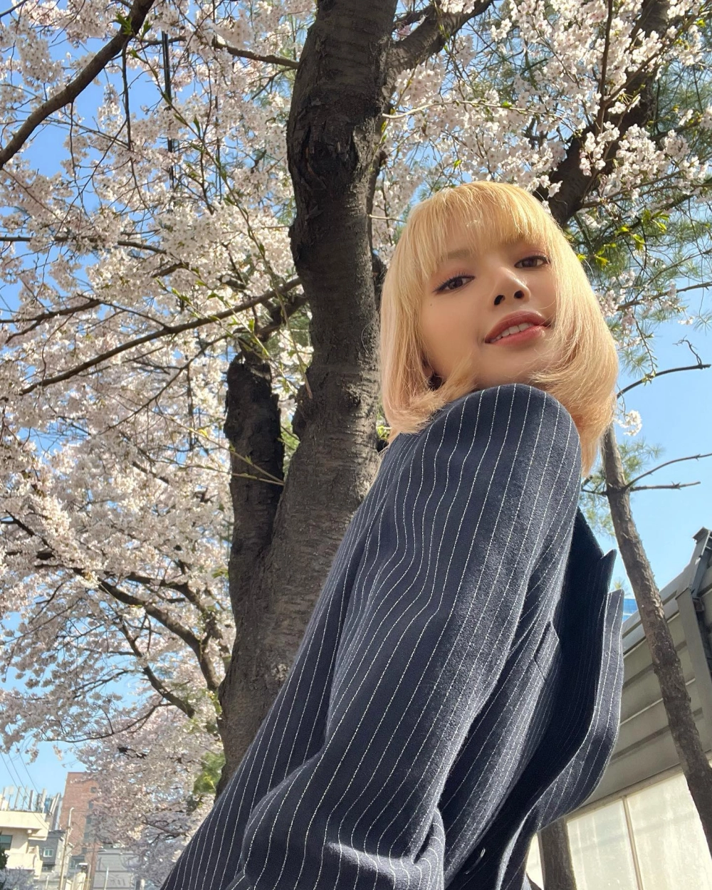 Biệt danh của lisa được fan yêu thích vì đáng yêu và dễ nhớ