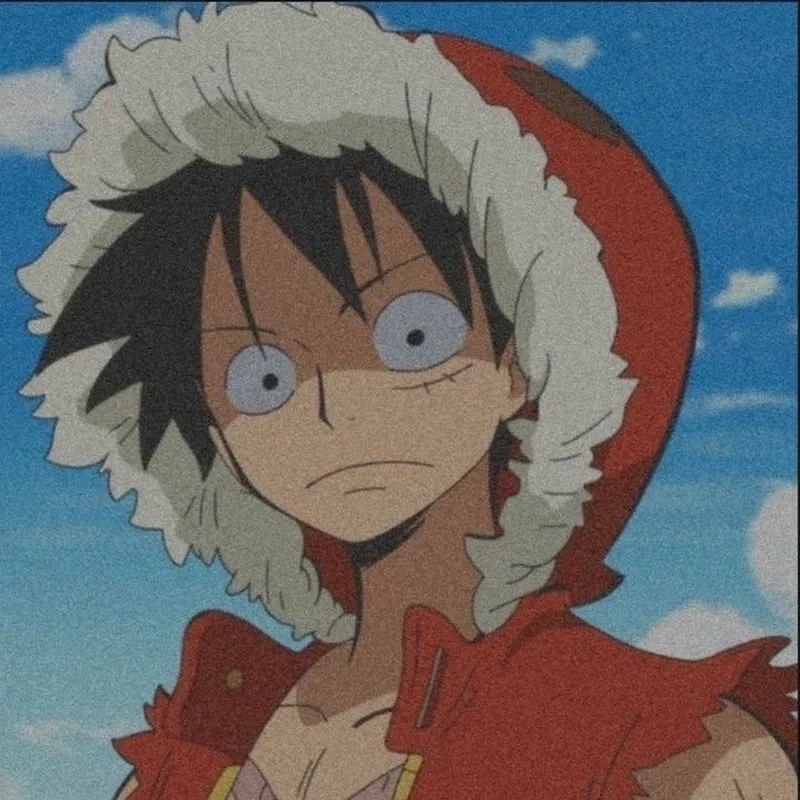Monkey D Luffy người sở hữu trái ác quỷ Nika và mang trong mình giấc mơ lớn lao